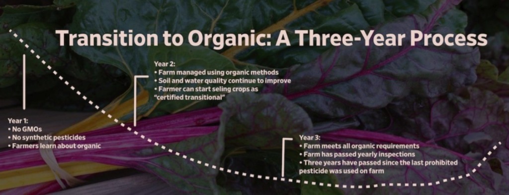 Challenges in Organic Certification Process
